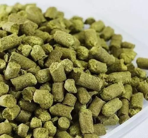 精釀啤酒設(shè)備,啤酒廠設(shè)備,開(kāi)辦啤酒廠,酒花
