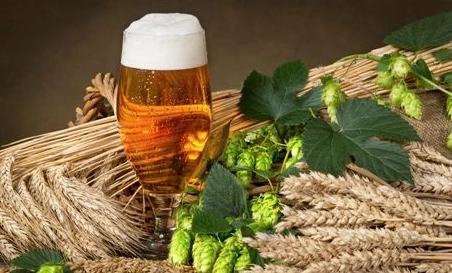 精釀啤酒中，如何選擇恰當(dāng)?shù)慕湻椒ǎ? class=